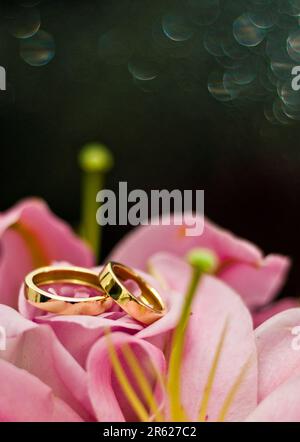 Image des anneaux de mariage sur nénuphars roses Banque D'Images