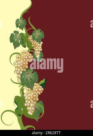 étiquette de vin vector avec raisin et feuille Illustration de Vecteur