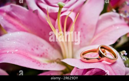 Image des anneaux de mariage sur nénuphars roses Banque D'Images