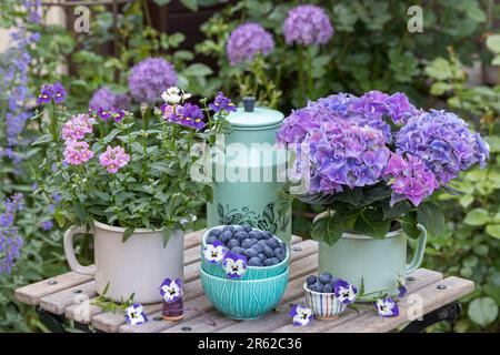 arrangement avec des bleuets frais et des fleurs d'été pourpres dans des pots en émail Banque D'Images