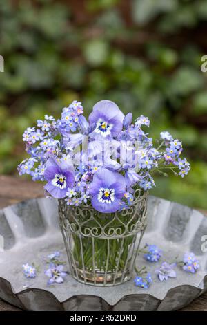 Bouquet de fleurs de alto bleu, cloches espagnoles et oubliez-moi pas de fleurs dans vase vintage Banque D'Images