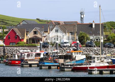 Maisons colorées et bateaux bordant le port de Dingle à Dingle, Irlande Banque D'Images