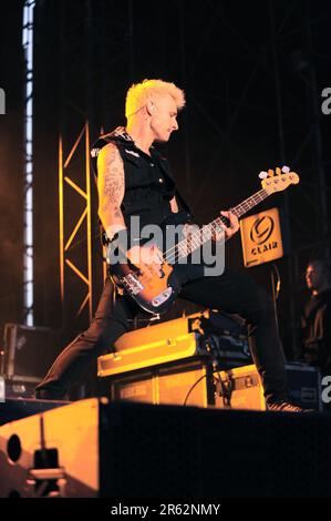 Milan Italie 2013-05-24: Mike Dirnt bassiste de la Journée verte lors d'un concert à l'Arena Fiera Rho Banque D'Images