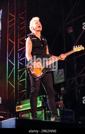 Milan Italie 2013-05-24: Mike Dirnt bassiste de la Journée verte lors d'un concert à l'Arena Fiera Rho Banque D'Images