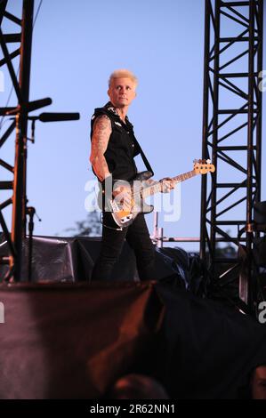 Milan Italie 2013-05-24: Mike Dirnt bassiste de la Journée verte lors d'un concert à l'Arena Fiera Rho Banque D'Images