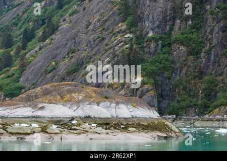 Ligne de marée rocheuse avec glace dispersée dans le bras Endicott, Alaska, États-Unis Banque D'Images