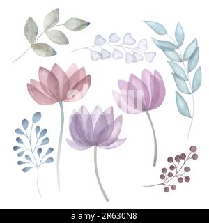 Aquarelle fleurs transparentes feuilles. Ensemble floral dans les tons pastel violet, rose, bleu et vert. Illustration dessinée à la main isolée sur fond blanc. Pour Banque D'Images