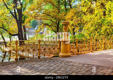 Automne doré dans le parc de la ville . Trottoir dans le parc et feuilles d'automne Banque D'Images