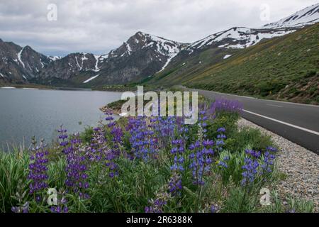 Grant Lake est l'un des lacs le long de la boucle de June Lake dans le comté de Mono, en Californie, aux États-Unis. Banque D'Images