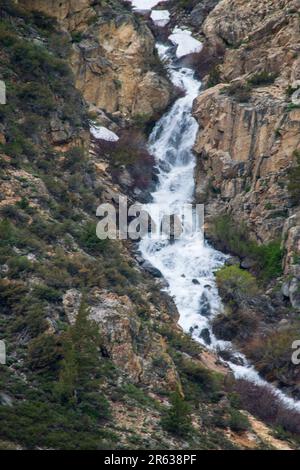 Plusieurs chutes d'eau, telles que les chutes d'Horsetail, se trouvent dans la boucle du lac de juin, dans le comté de Mono, en Californie, aux États-Unis. Banque D'Images