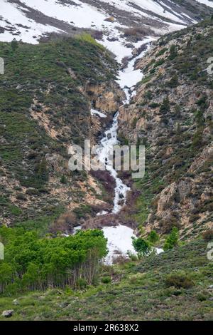 Plusieurs chutes d'eau, telles que les chutes d'Horsetail, se trouvent dans la boucle du lac de juin, dans le comté de Mono, en Californie, aux États-Unis. Banque D'Images