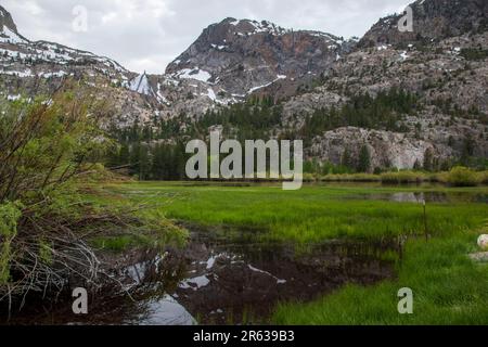 Plusieurs chutes d'eau, telles que les chutes d'Horsetail, se trouvent dans la boucle du lac de juin, dans le comté de Mono, en Californie, aux États-Unis. Banque D'Images