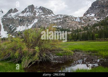 Plusieurs chutes d'eau, telles que les chutes d'Horsetail, se trouvent dans la boucle du lac de juin, dans le comté de Mono, en Californie, aux États-Unis. Banque D'Images