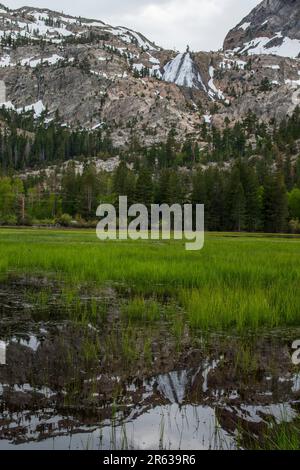 Plusieurs chutes d'eau, telles que les chutes d'Horsetail, se trouvent dans la boucle du lac de juin, dans le comté de Mono, en Californie, aux États-Unis. Banque D'Images