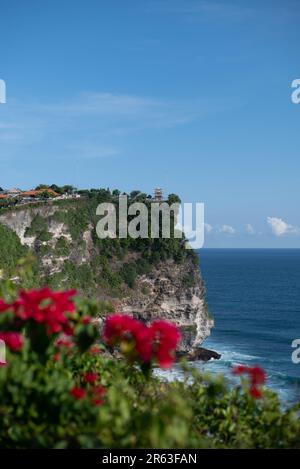 Falaise avec fleurs par une journée ensoleillée à Bali Indonésie Banque D'Images