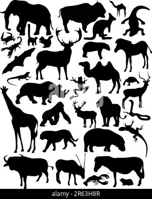 Ensemble de silhouettes vectorielles pour animaux sauvages illustrés Illustration de Vecteur