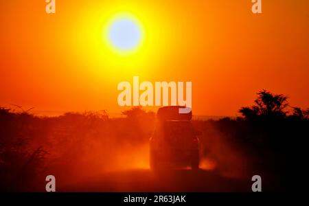 En safari, voiture en voiture dans le lever du soleil, parc national d'Etosha, Namibie Banque D'Images