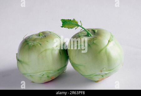 Kohlrabi (Brassica oleracea var. Gongylodes) (plantes) (légumes) (cultures) (Cropped) (objet) (Paysage) (horizontal) (intérieur) (Studio) Banque D'Images