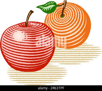 Illustration vectorielle de style bois d'une pomme et d'une orange. Illustration de Vecteur