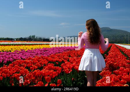 courir à travers le champ rose de tulipes vers les montagnes jeune fille en jupe blanche court doucement après pureté beauté jeune tendresse liberté de spiritualisation rêve vol de pensées canada fraîcheur Banque D'Images