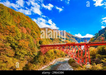 Feuilles d'automne et tramway dans la gorge de Kurobe Banque D'Images