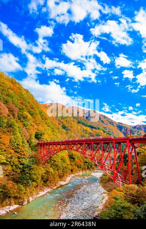 Feuilles d'automne et tramway dans la gorge de Kurobe Banque D'Images