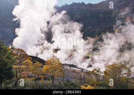 Émanations volcaniques d'un onsen de Tamagawa et de feuilles d'automne Banque D'Images