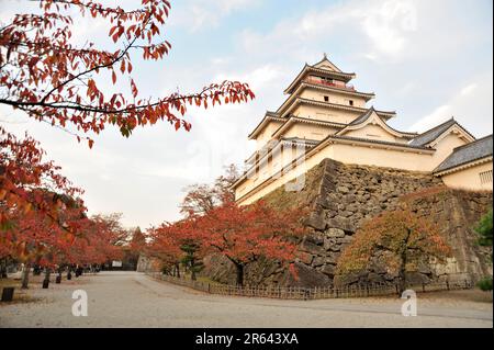 Feuilles d'automne et château de Tsurugajo sous le soleil du soir Banque D'Images