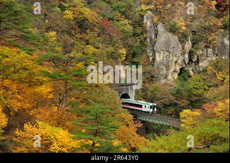 Gorge de Naruko et ligne est de Rikuu dans les feuilles d'automne Banque D'Images