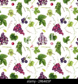 Motif sans couture avec des raisins, des feuilles vertes et des vignes. Illustration aquarelle dessinée à la main. Banque D'Images