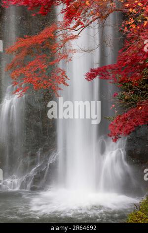 Chute d'eau Minoh en automne Banque D'Images