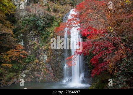 Chute d'eau Minoh en automne Banque D'Images