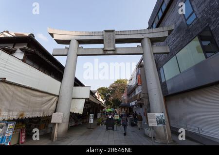 Porte torii à l'approche du sanctuaire de Demizu Banque D'Images