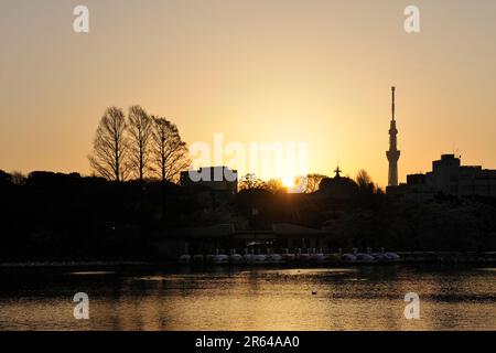 Tokyo Sky Tree et lever du soleil à Shinobazuno Pond Banque D'Images