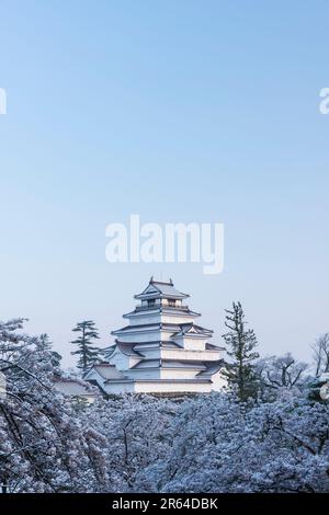 Cerisiers en fleurs et château d'Aizu Wakamatsu Banque D'Images