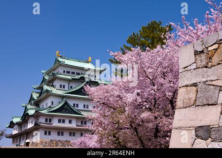 Château de Nagoya Banque D'Images