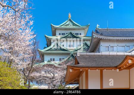 Château de Nagoya Banque D'Images