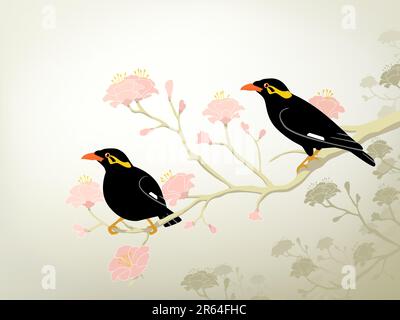 Illustration vectorielle modifiable d'une paire d'oiseaux en voie de disparition hill myna Illustration de Vecteur