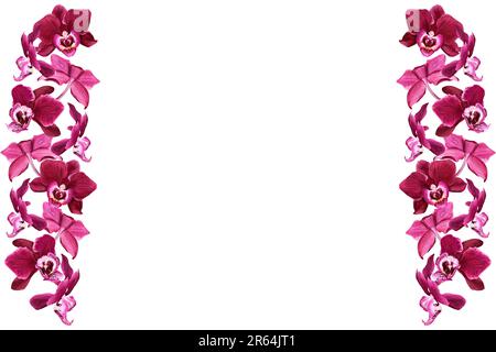 Bordure, cadre avec fleurs d'orchidée de fleur Phalaenopsis. Illustration aquarelle isolée sur blanc pour carte, invitations Banque D'Images