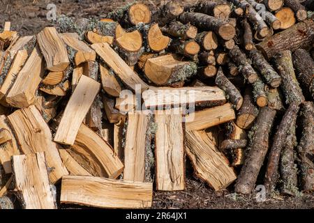 pile de bois de chauffage de chêne coupé Banque D'Images