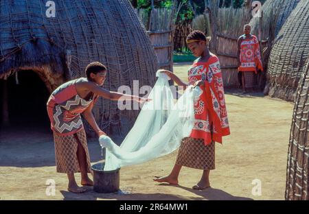 Swaziland, les femmes d'un village swazie près de Mbabane imprégnent un moustique d'un insecticide antimoustique. Banque D'Images