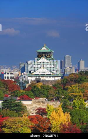 Château d'Osaka en feuilles d'automne Banque D'Images