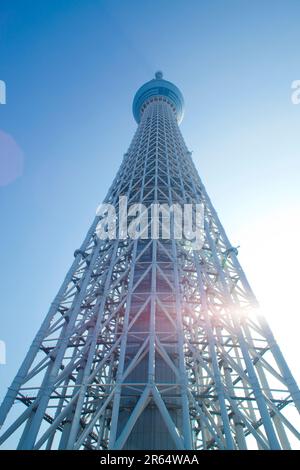 Tokyo Sky Tree Banque D'Images