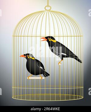 Illustration vectorielle modifiable d'une paire d'oiseaux en cage hill myna faite avec filets de dégradé Illustration de Vecteur