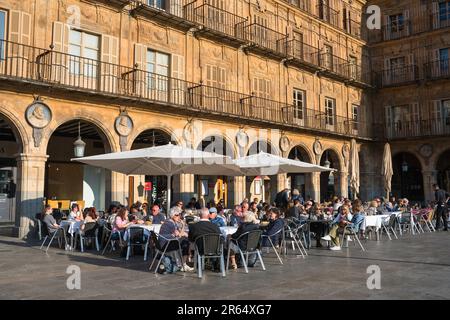 Espagne café bar, vue en été des gens se détendant à des tables de café dans la Plaza Mayor dans la ville baroque historique de Salamanque, Espagne Banque D'Images