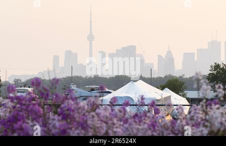 Toronto, Canada. 6th juin 2023. La fumée de feu sauvage enveloppe Toronto, Canada, on 6 juin 2023. Environnement Canada a publié un énoncé spécial sur la qualité de l'air pour Toronto mardi après l'arrivée à Toronto de la fumée des feux de forêt au Québec et dans le nord-est de l'Ontario. La mauvaise qualité de l'air peut persister pendant la majeure partie de cette semaine. Credit: Zou Zheng/Xinhua/Alamy Live News Banque D'Images