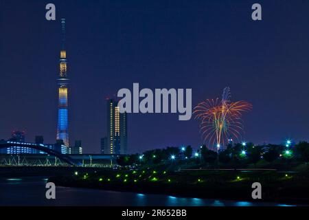 Festival des feux d'artifice de la rivière Sumida et Tokyo Sky Tree Banque D'Images