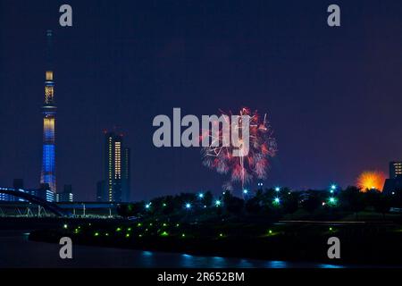 Festival des feux d'artifice de la rivière Sumida et Tokyo Sky Tree Banque D'Images