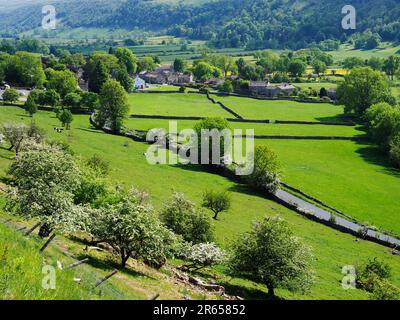 Prés d'été de Buckden Rake près de Buckden Upper Wharfedale Yorkshire Dales National Park North Yorkshire England Banque D'Images