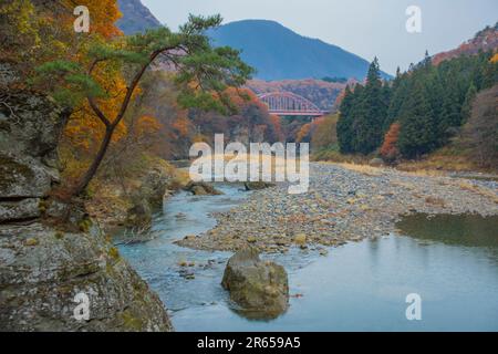 TOU no Hetsuri no Ookawa et feuilles d'automne Banque D'Images